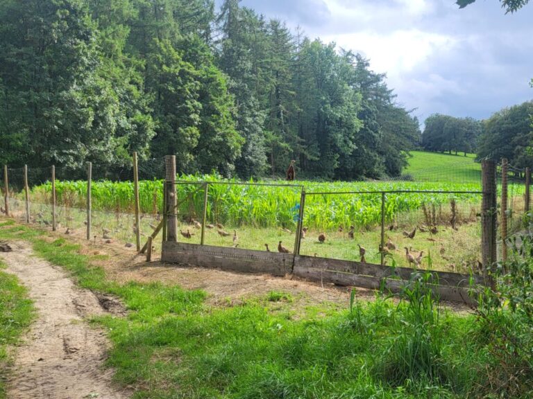 donnees de lafsca sur les importations de petit gibier et de gibier deau une catastrophe sanitaire ethique et environnementale