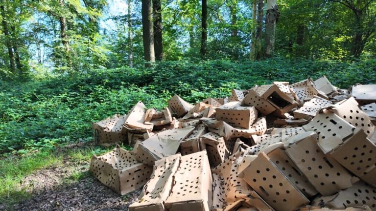 les derives de la chasse septembre 2024