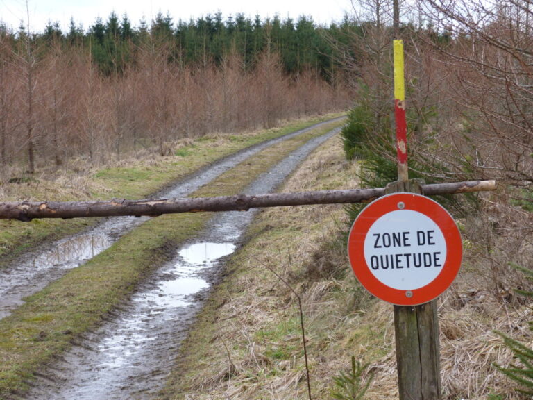 lemprise de la chasse sur notre patrimoine commun