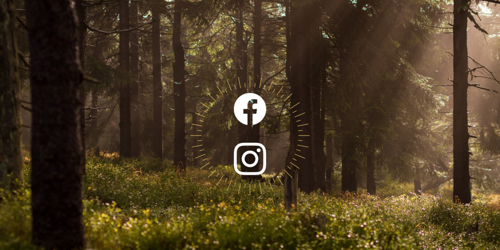 le collectif se lance sur les reseaux sociaux