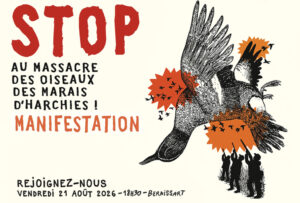 Illustration de l’article