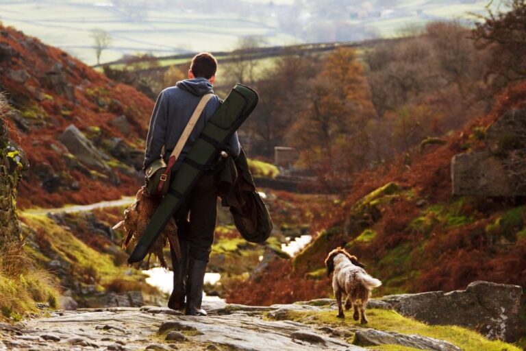 le poids economique de la chasse la dette cachee de la chasse