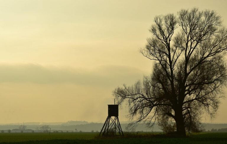 chasse les verites alternatives