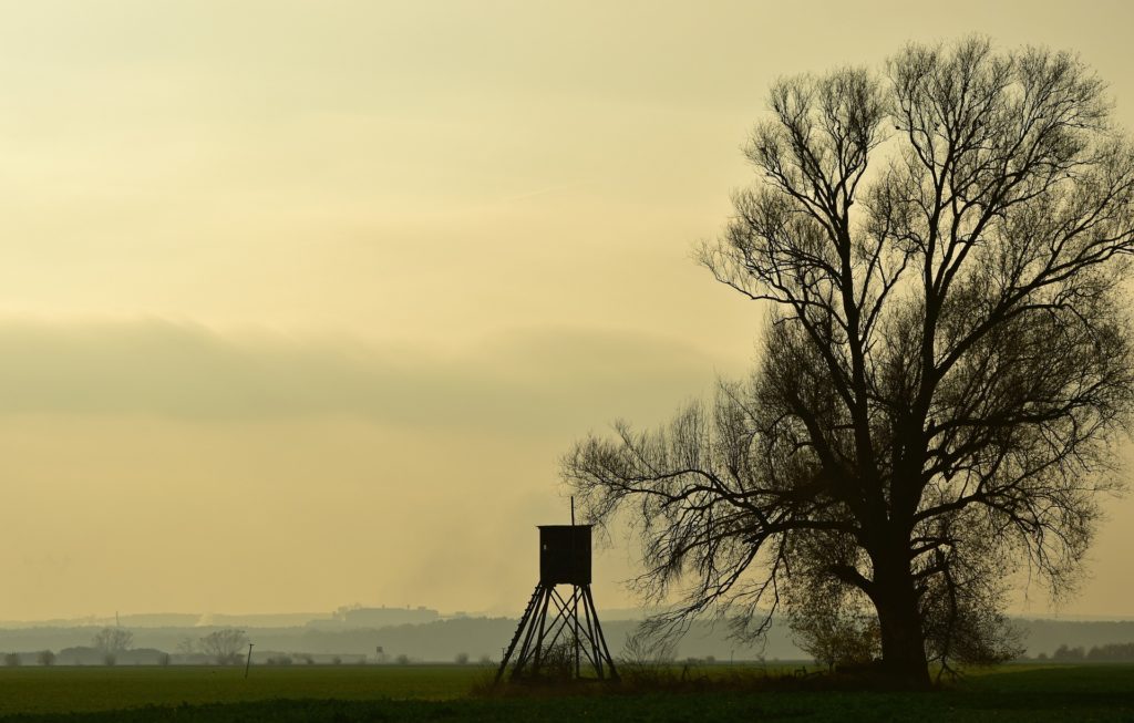 chasse les verites alternatives