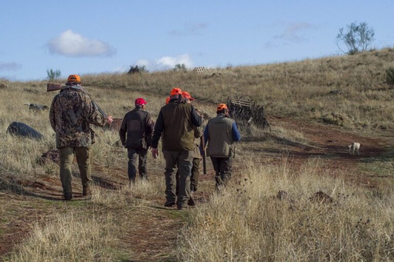 les representants des federations wallonnes de chasse deviendraient ils vertueux
