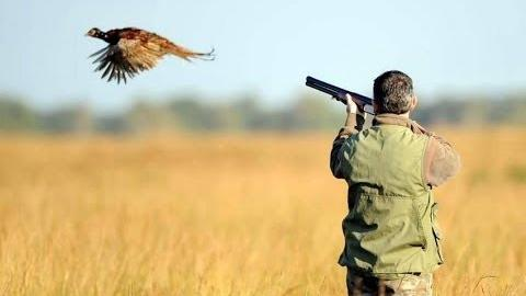 article lavenir un carnage organise 17 08 2024 un exemple de lhypocrisie de certains chasseurs