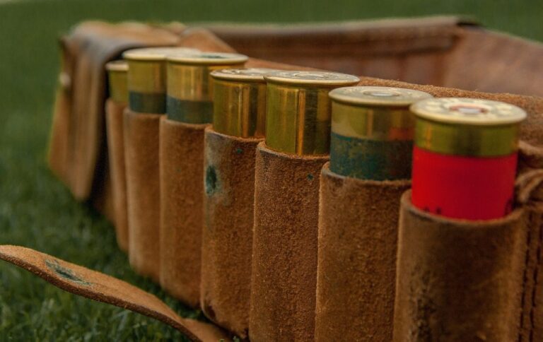 le collectif stop aux derives de la chasse sdc demande linterdiction totale des munitions au plomb