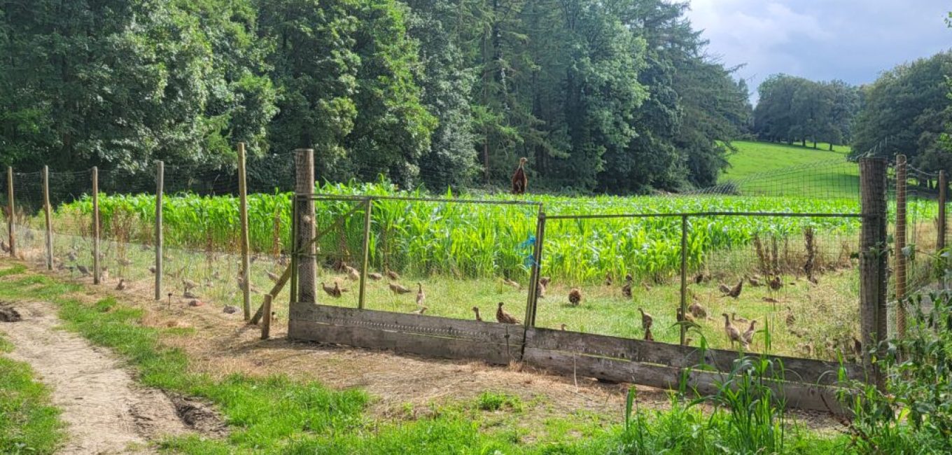 donnees de lafsca sur les importations de petit gibier et de gibier deau une catastrophe sanitaire ethique et environnementale