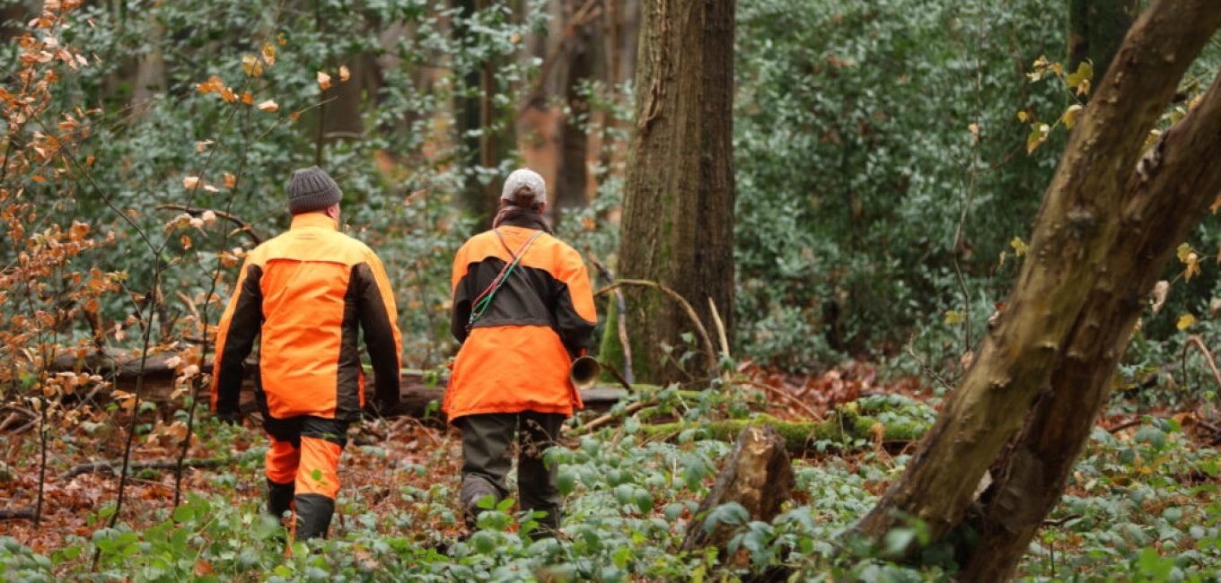 Les méthodes de chasse en Wallonie