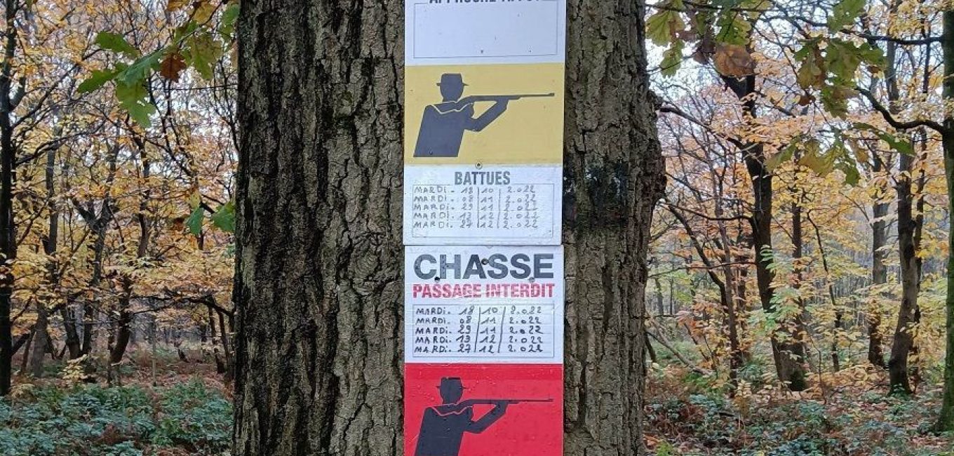 prolongation de la chasse en janvier pour les cinq prochaines annees une nouvelle occasion manquee de mieux partager la foret wallonne