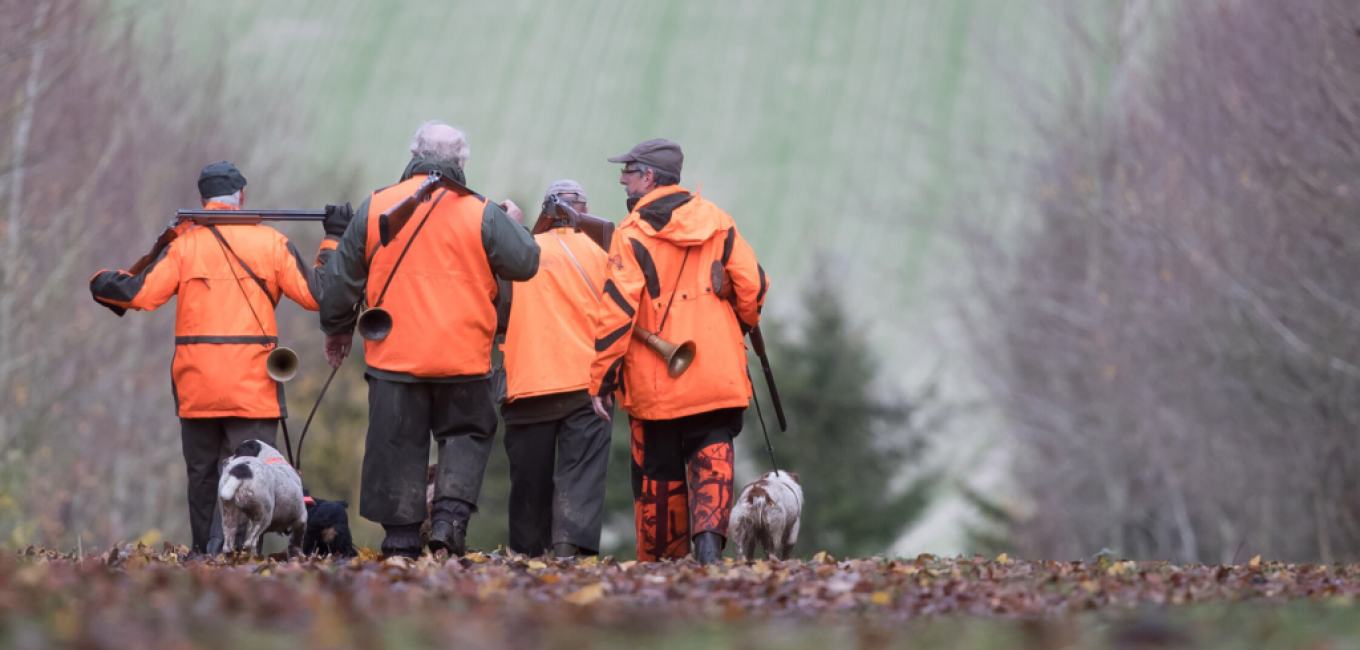victoire lentreprise publique vivaqua definit des baux de chasse alignes avec les revendications du collectif